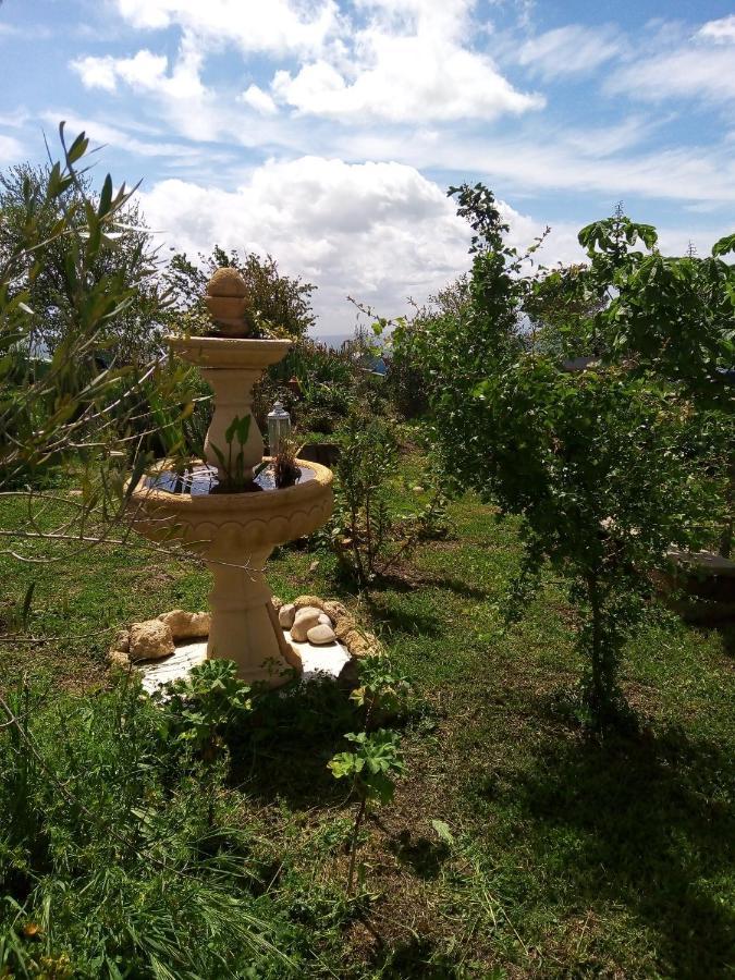 B&B La Gallinella Rossa Baschi Dış mekan fotoğraf