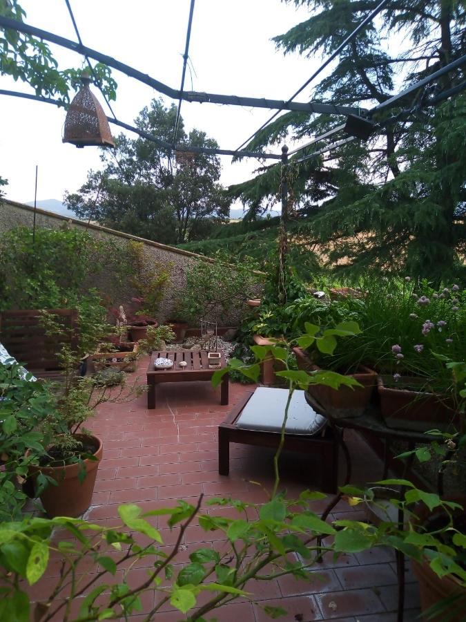 B&B La Gallinella Rossa Baschi Dış mekan fotoğraf