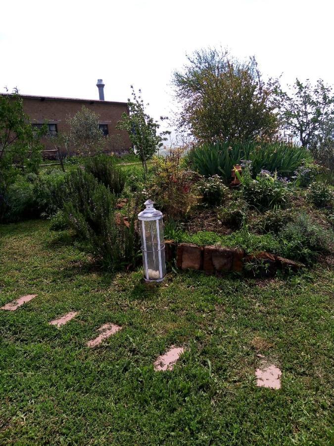 B&B La Gallinella Rossa Baschi Dış mekan fotoğraf