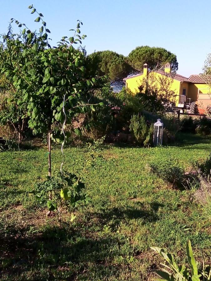 B&B La Gallinella Rossa Baschi Dış mekan fotoğraf